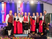 Bezirksmusikfest 2015