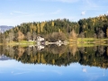 Wanderung um den Gleinkersee