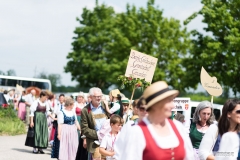 Goldhäubchentreffen